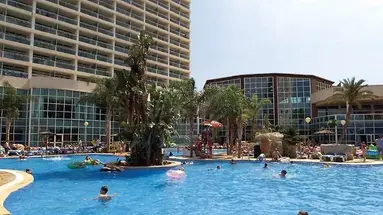 Flamingo Oasis
