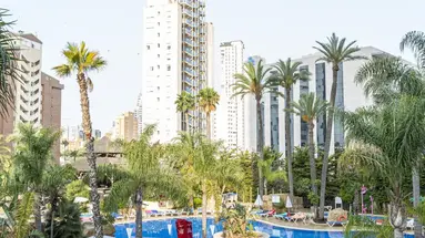Flamingo Oasis