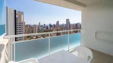 Flamingo Oasis
