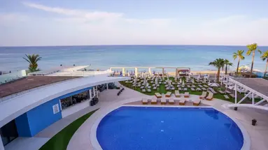 Flamingo Paradise Beach