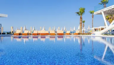 Flamingo Paradise Beach