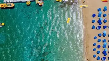 Flamingo Paradise Beach