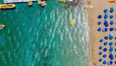 Flamingo Paradise Beach