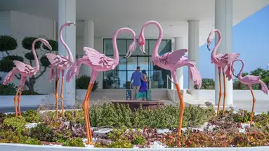 Flamingo Paradise Beach