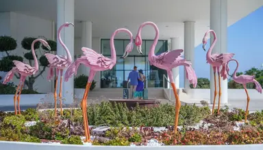 Flamingo Paradise Beach