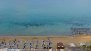 Flamingo Paradise Beach