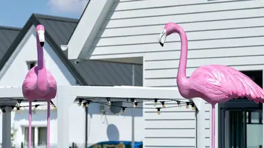 Flamingo Residence