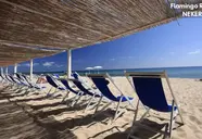 Flamingo (Santa Margherita di Pula)