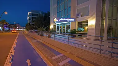 Flamingo