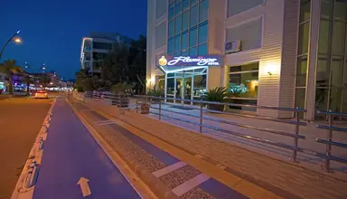 Flamingo