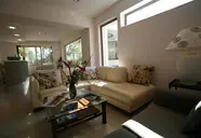 Flamingos