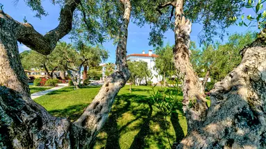 Flegra Palace