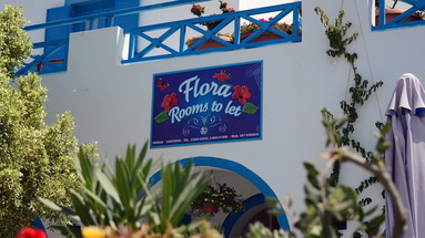 Flora (Perrisa)