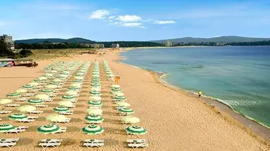 Forest Beach