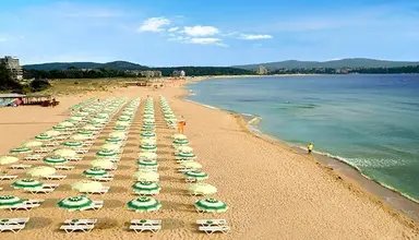 Forest Beach