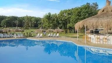 Forest Beach