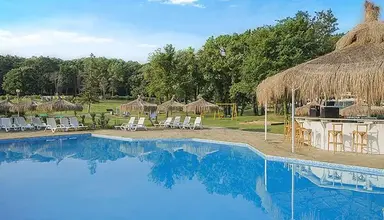 Forest Beach