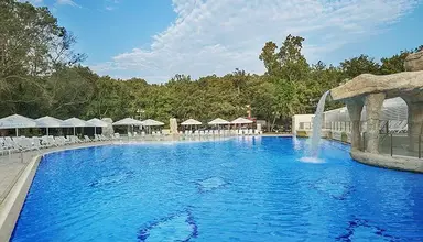 Forest Beach