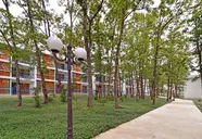 Forest Beach