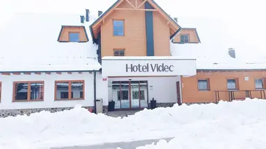 Forest Videc
