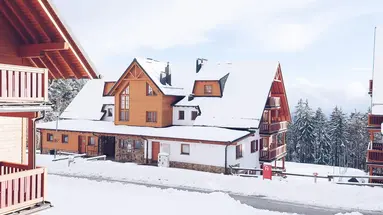 Forest Videc