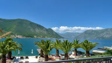 Forza Terra