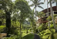 Four Seasons at Sayan