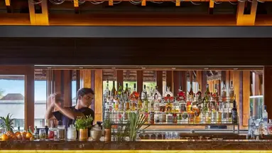 Four Seasons Resort at Anahita