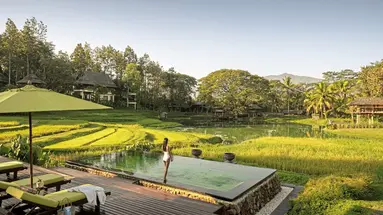 Four Seasons Resort Chiang Mai