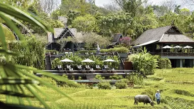 Four Seasons Resort Chiang Mai