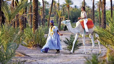 Four Seasons Resort Marrakech