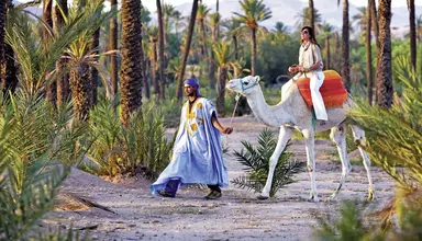 Four Seasons Resort Marrakech