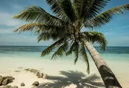 Four Seasons Resort Seychelles at Desroches Island