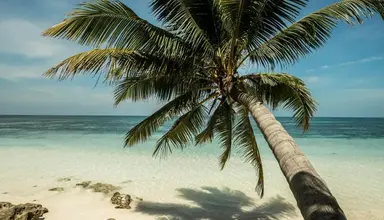 Four Seasons Resort Seychelles at Desroches Island