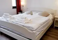 Francolini