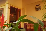 Free Beach Resort