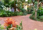 Free Beach Resort