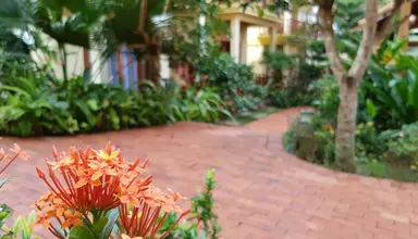 Free Beach Resort