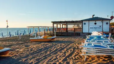 Free Beach