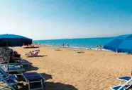 Free Beach