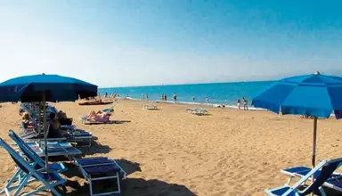 Free Beach