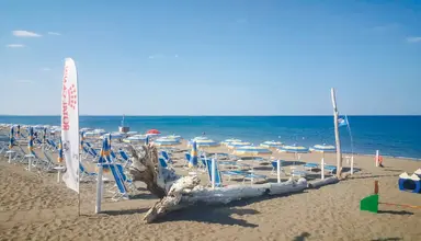 Free Beach