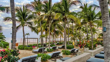Friendly Fun Vallarta