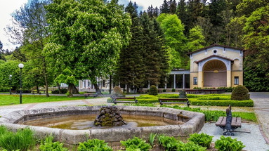 Fryderyk