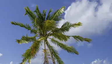 Furaveri Island Resort