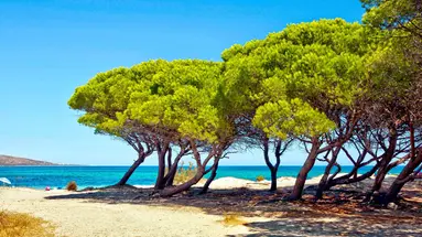 Futura Club Cala Fiorita