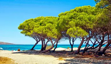 Futura Club Cala Fiorita