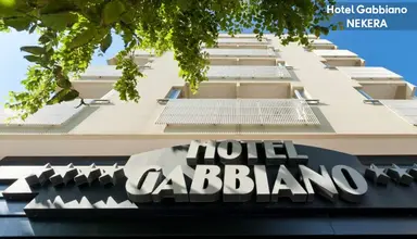 Gabbiano (Cattolica)