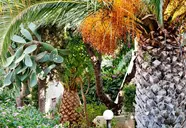 Galaxy Suites Boutique Resort