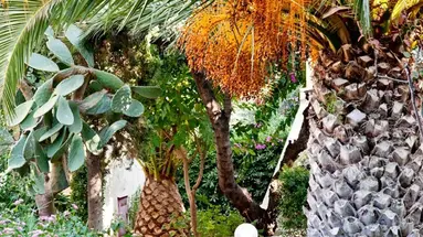 Galaxy Suites Boutique Resort